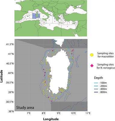 Eating Near the Dump: Identification of Nearby Plastic Hotspot as a Proxy for Potential Microplastic Contamination in the Norwegian Lobster (Nephrops norvegicus)